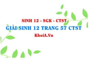Giải Sinh 12 trang 57 Chân trời Sáng tạo